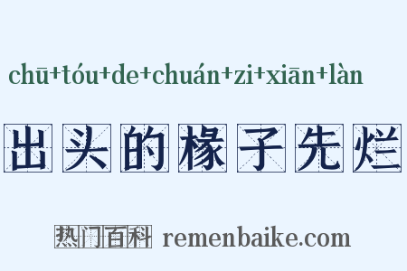 出头的椽子先烂是什么意思的图片